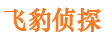 宁远外遇调查取证